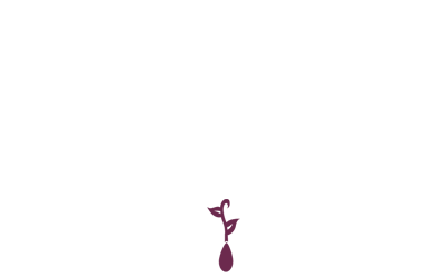 PICA Independent Consulting - Wherever You Are