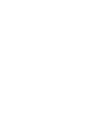 PICA Flame